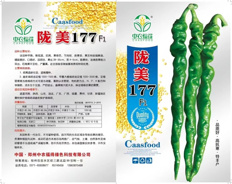 陇美177种子大果陇椒无线生长高抗辣椒种大田种子