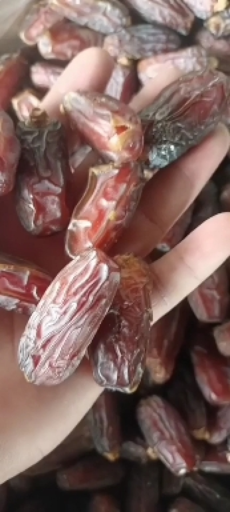 沙特阿拉伯椰枣，直供各大电商网红平台，河北总代理一手货源