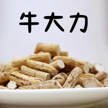 新鲜牛大力鲜薯大，中小号