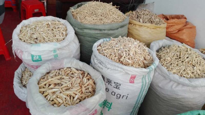 新鲜牛大力鲜薯大，中小号