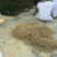 新鲜牛大力鲜薯大，中小号