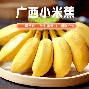 产地直销广西小米蕉，5斤.9斤包邮，一手货源，支持一件代