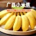 产地直销广西小米蕉，5斤.9斤包邮，一手货源，支持一件代