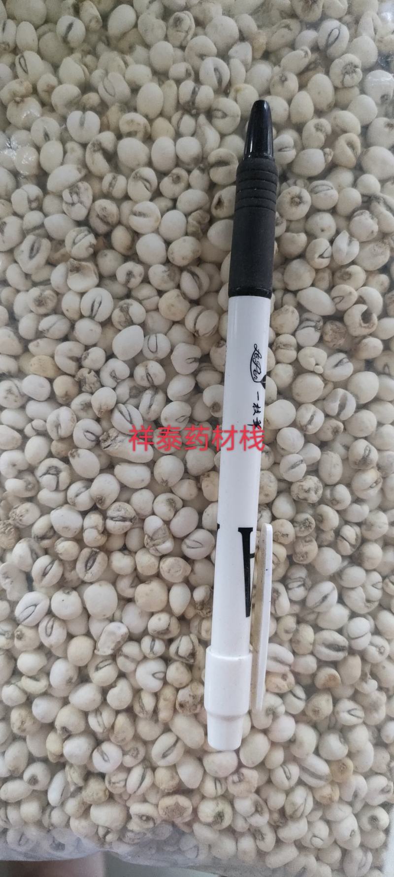 （热销）小贝母贝母平贝母0.6祥泰药材栈中药材批发零