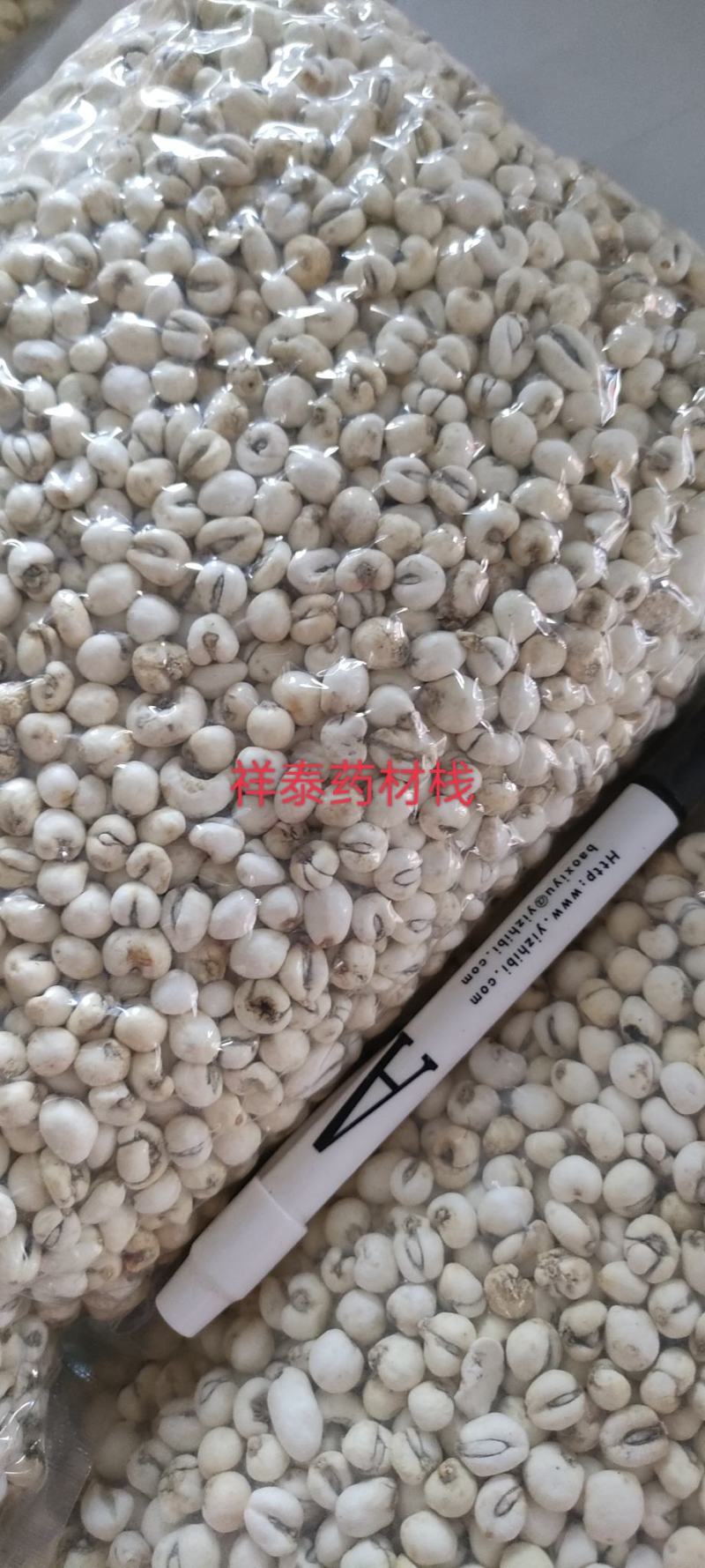 （热销）小贝母贝母平贝母0.6祥泰药材栈中药材批发零