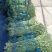 加工厂市场山东菏泽豆角大量上市中，精品豆角豇豆，需要联系