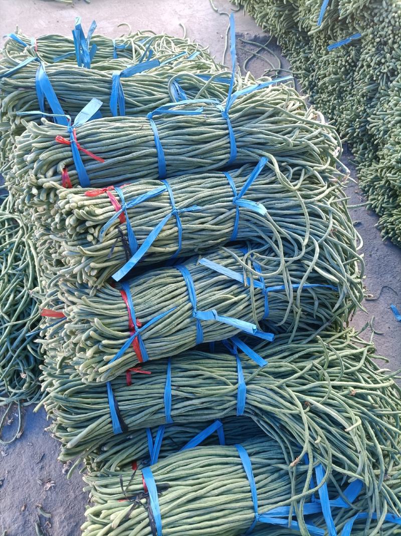 加工厂市场山东菏泽豆角大量上市中，精品豆角豇豆，需要联系