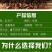 干豆角农家嫩长豇豆干青豆角干质量好全国发货