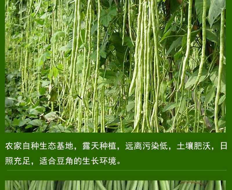 干豆角农家嫩长豇豆干青豆角干质量好全国发货