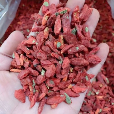 【精品】新货宁夏红枸杞，不结块，颜色一致，量大从优
