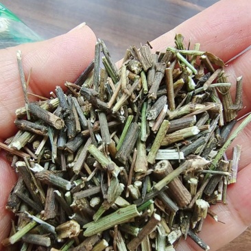 柴胡干货切段柴胡苗常年经营各种中药材