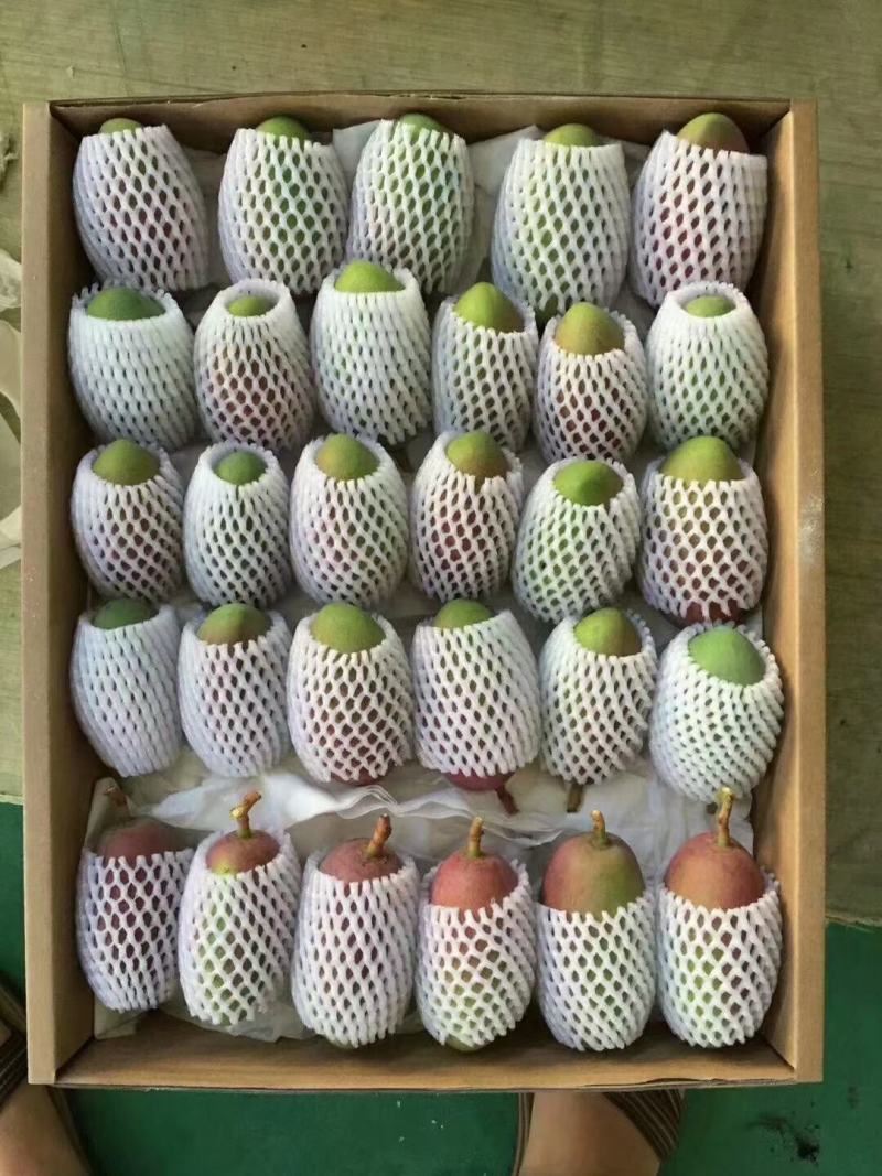 贵妃芒果大量批发，一件代发皮质优良口感香甜爆汁