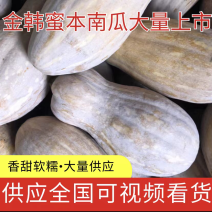 湖北精品南瓜，一手货源，基地直发，视频看货全国直发