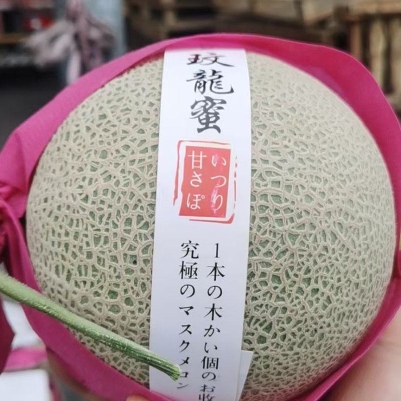 新疆哈密瓜