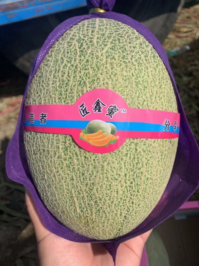 新疆哈密瓜