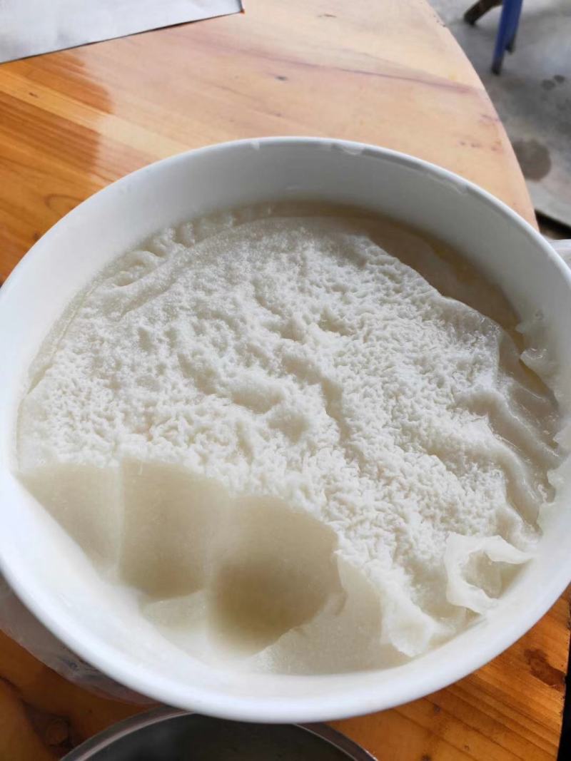 麒麟菜