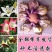 百合种球香水百合花种子球四季盆栽室内绿植物庭院花园阳台花