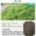 百喜草种子道路护坡水土保持草籽公路堤坝绿化草坪