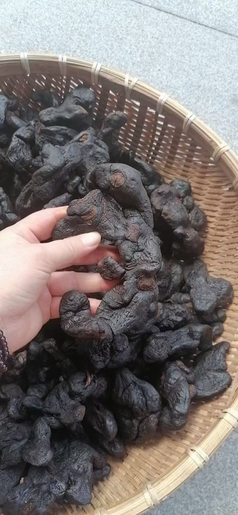 九蒸九晒野生大个黄精传统古法蒸制！！！欢迎来电咨询采购