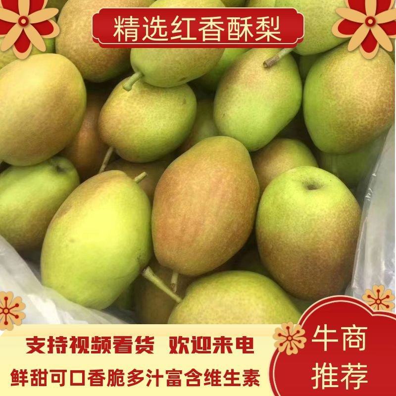 陕西精品红香酥梨，产地直发，支持电商对接，个头大，质量好