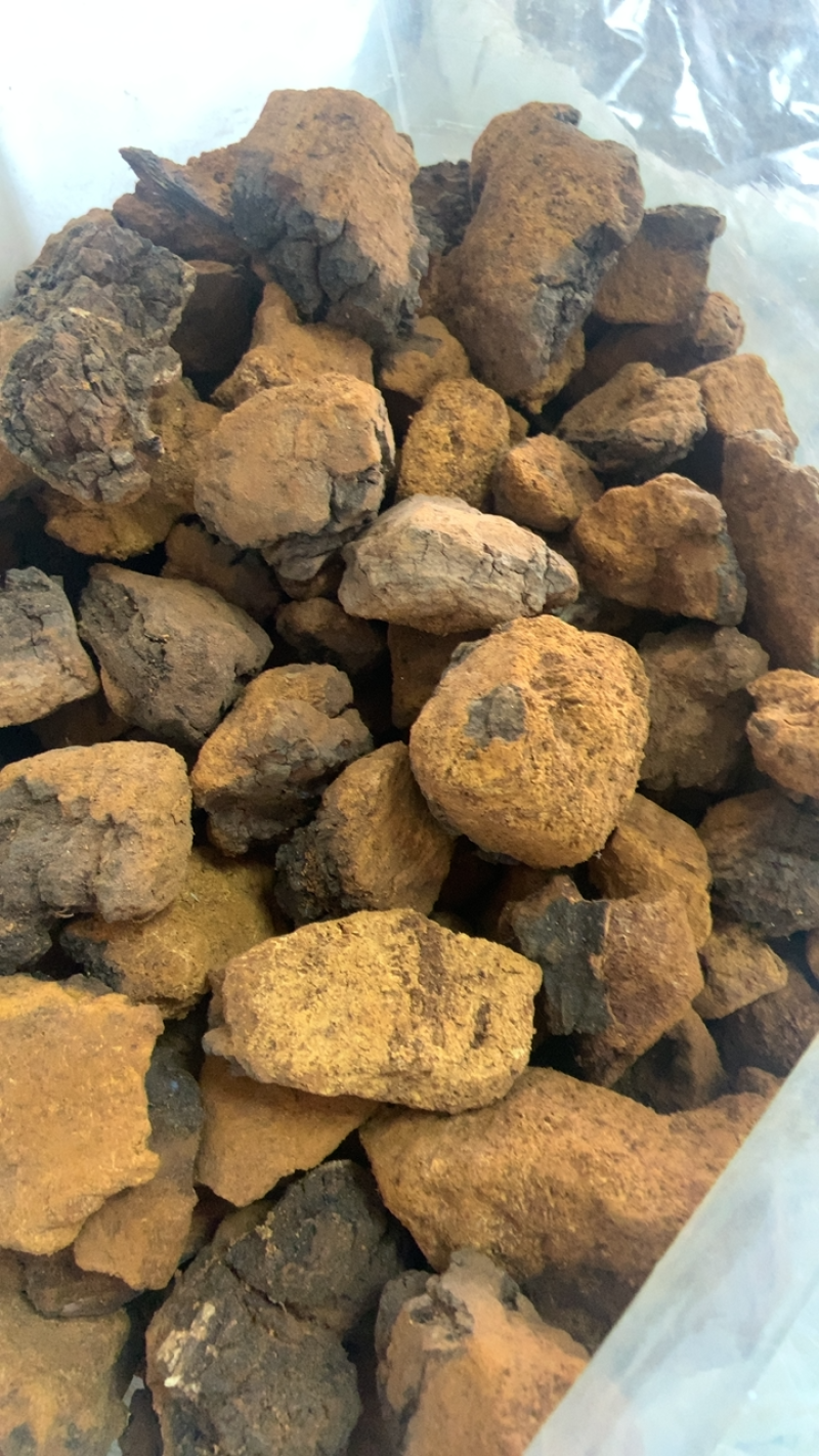 桦树泪中药材批发桦树黄桦树茸桦树胆桦树液白桦茸无硫新货