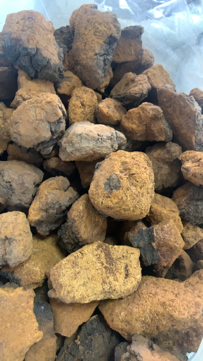 桦树泪中药材批发桦树黄桦树茸桦树胆桦树液白桦茸无硫新货