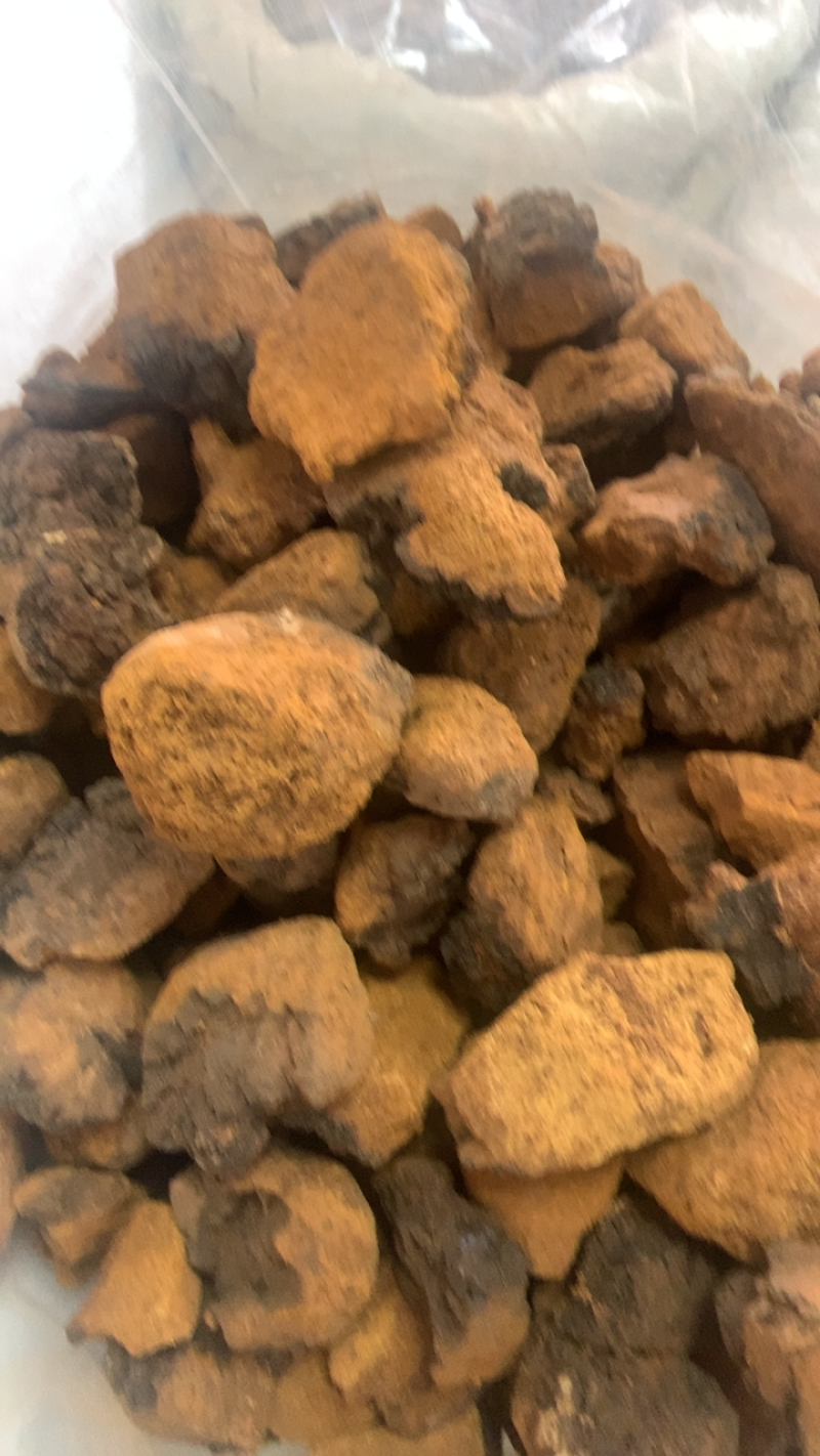 桦树泪中药材批发桦树黄桦树茸桦树胆桦树液白桦茸无硫新货