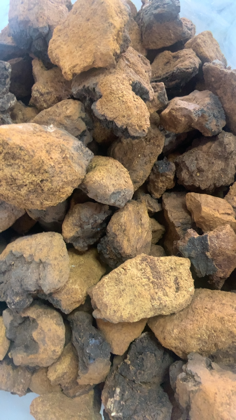 桦树泪中药材批发桦树黄桦树茸桦树胆桦树液白桦茸无硫新货