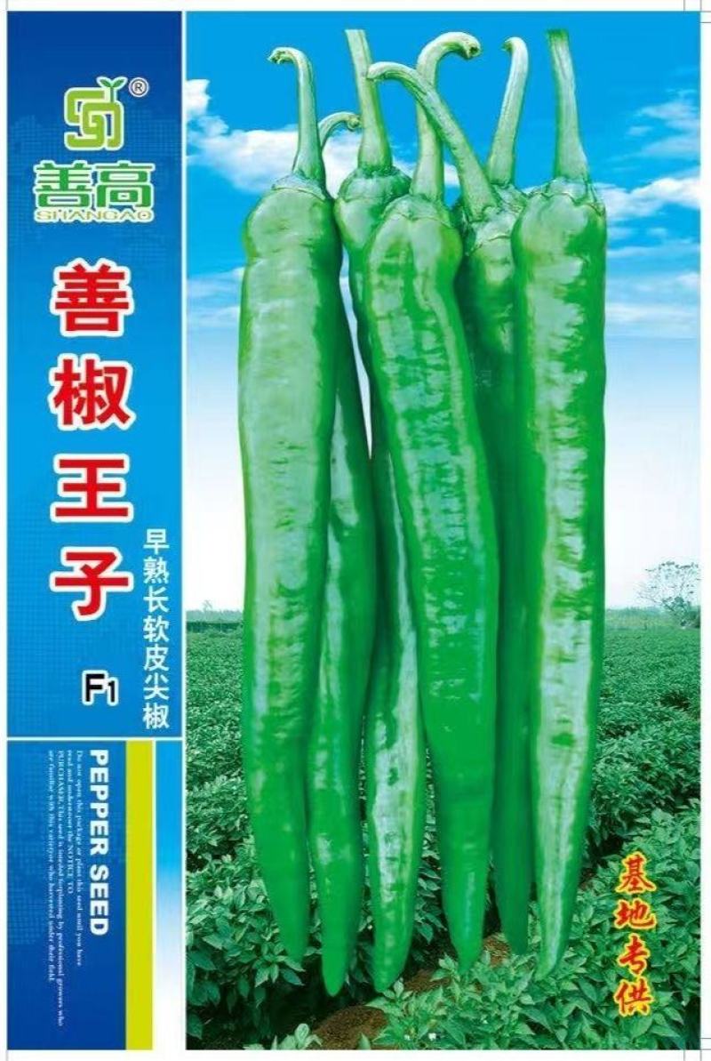 善椒十五号早熟软皮尖椒种子，1000粒