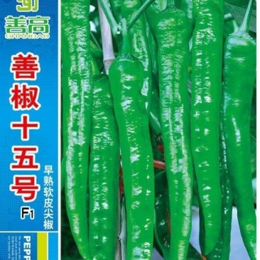 善椒十五号早熟软皮尖椒种子，1000粒