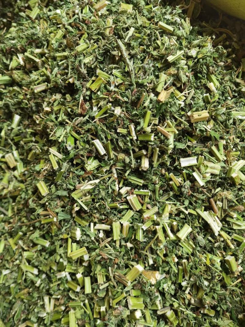 益母草～新货～青绿～量大优惠～1公斤起售～