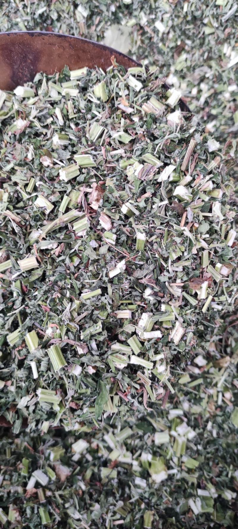益母草～新货～青绿～量大优惠～1公斤起售～