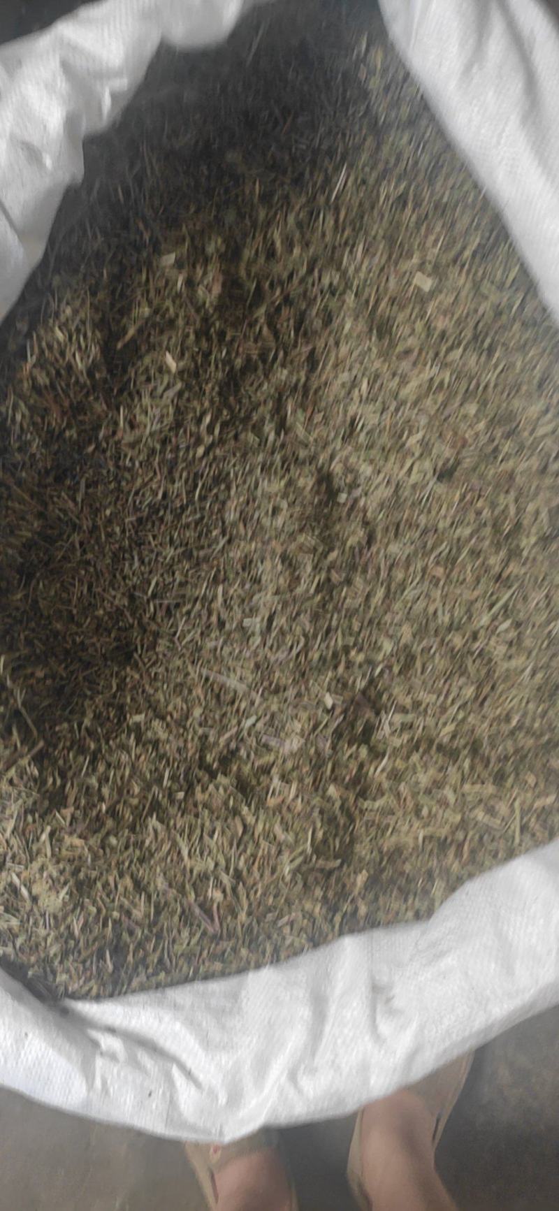 半枝莲干货中药材常年经营各种中药材