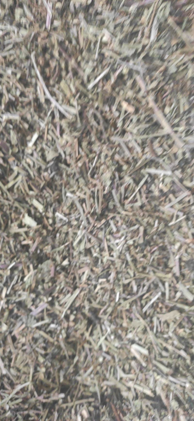 半枝莲干货中药材常年经营各种中药材