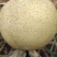 眉山脆冠梨，核小果肉脆甜多汁，消暑止渴味道好极了…