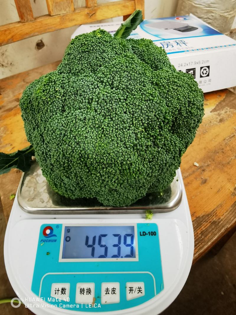 西兰花