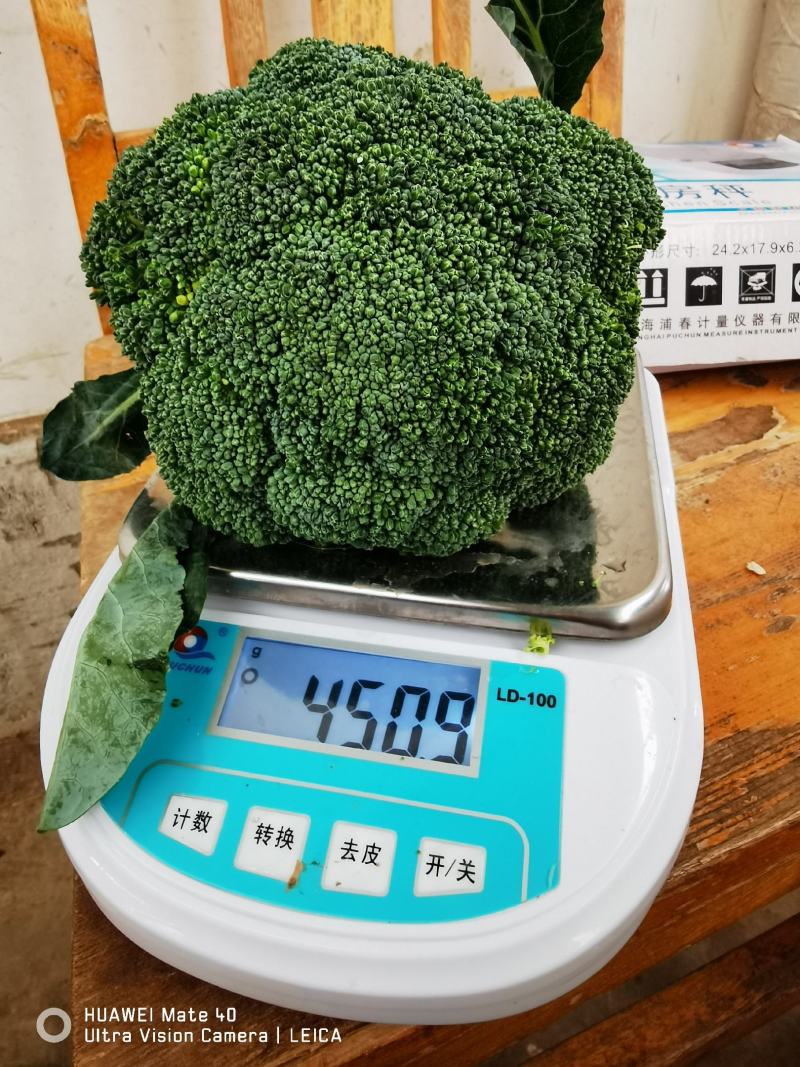 西兰花