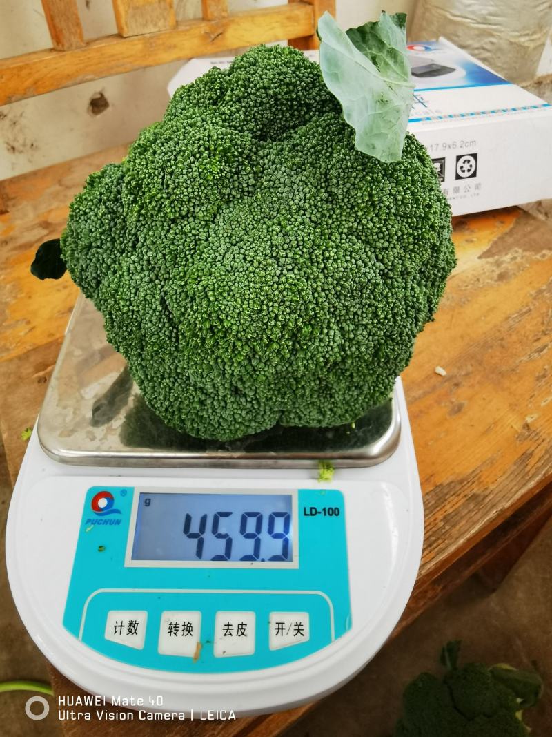 西兰花