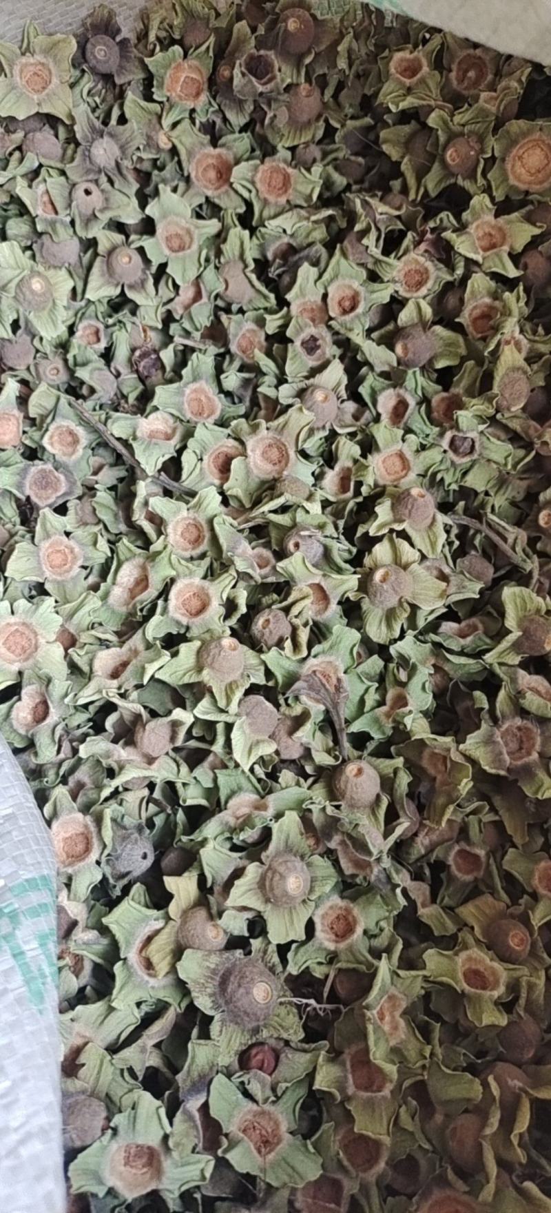 柿蒂柿蒂老柿蒂选货产地四川省地道药材紫轩堂药业