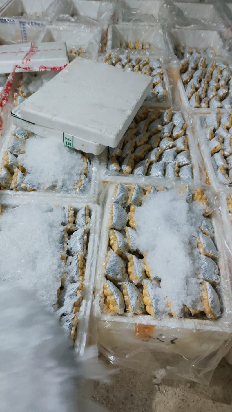 板栗仁保鲜剂干燥剂50克100克