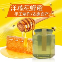 蜂蜜槐花蜜自家养殖蜜蜂质量有保证当天下单直接发货