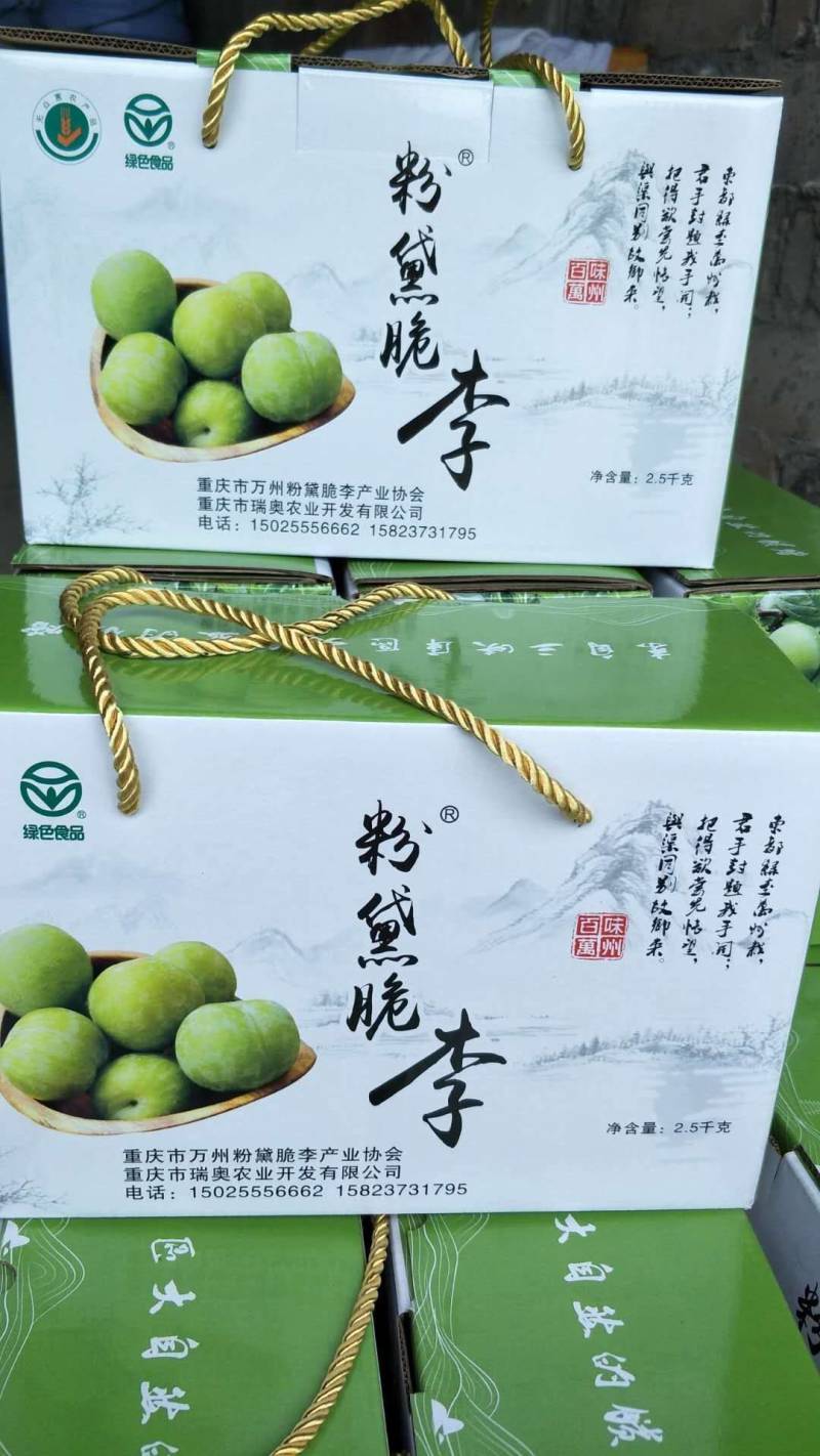青脆李巫山脆李万亩基地果园直供直销
