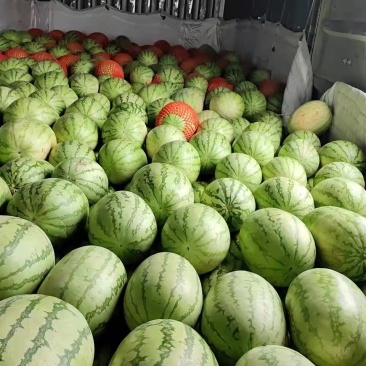 新疆大红金城，赶集，超市，货源充足，质量好，价格低。