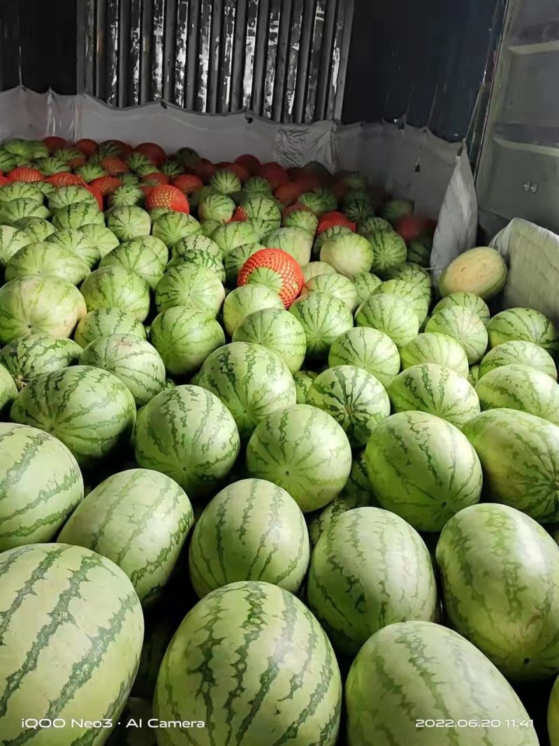 新疆大红金城，赶集，超市，货源充足，质量好，价格低。
