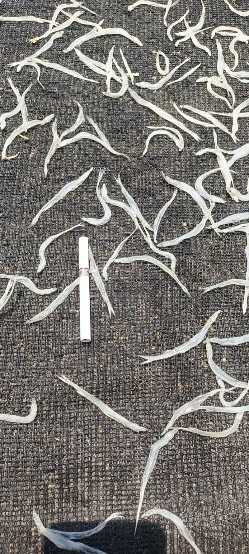 【牛商推荐】银鱼干，基地直发，质量保证，欢迎进店联系