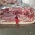 肥猪前后上肉