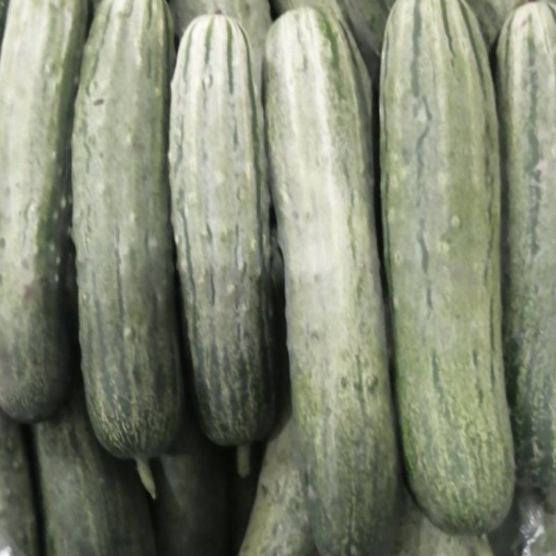 时鲜蔬菜