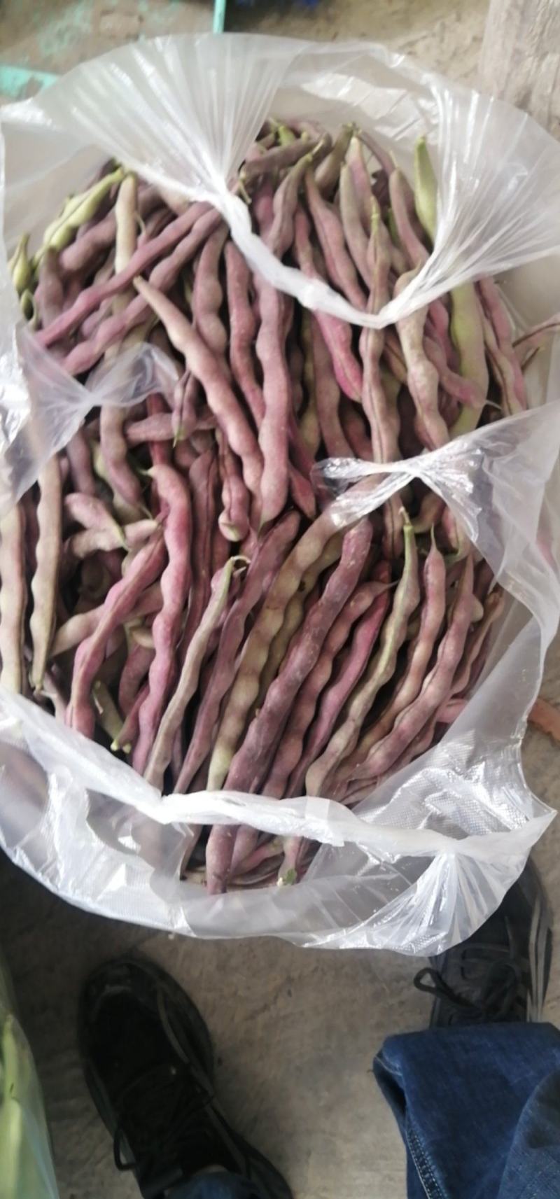 时鲜蔬菜