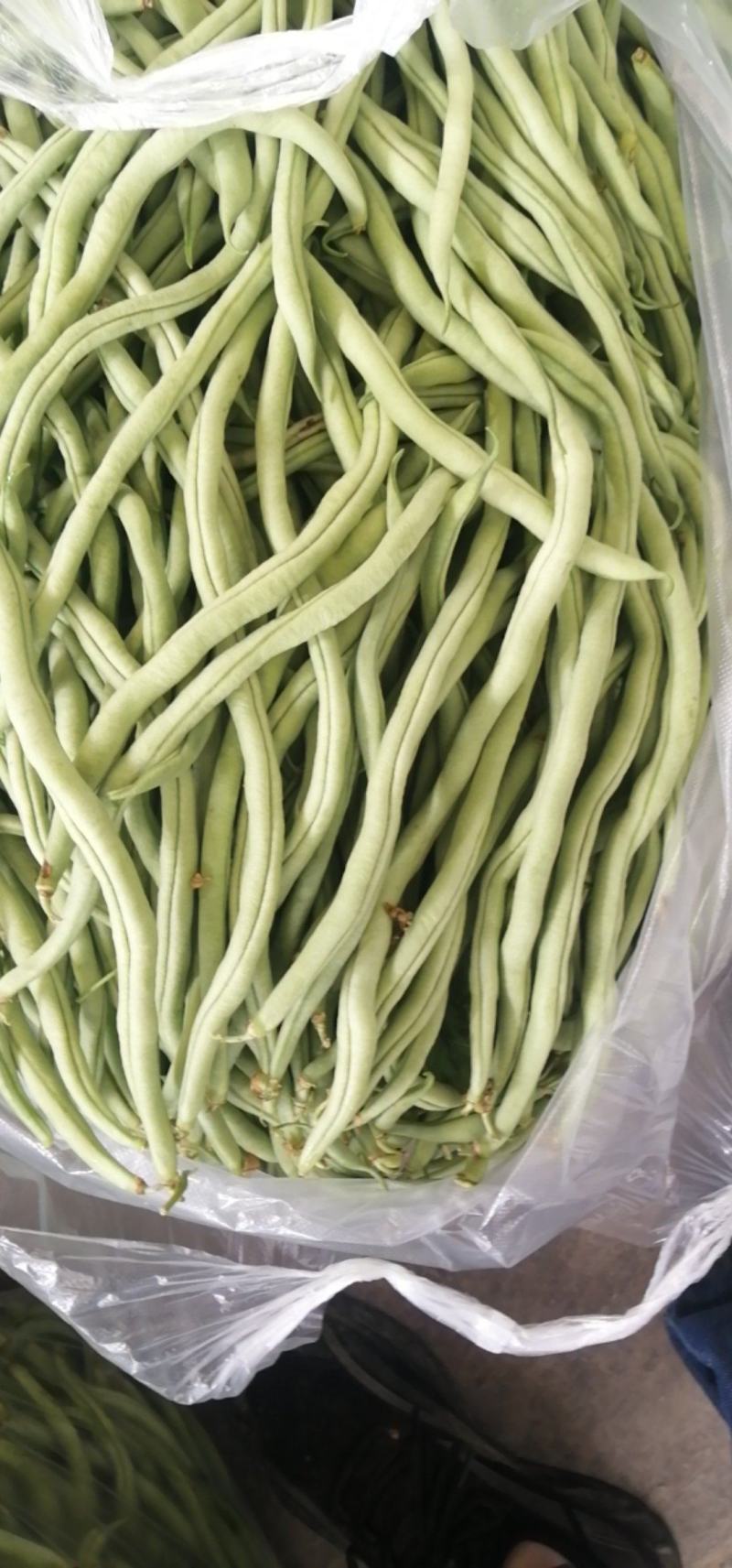 时鲜蔬菜