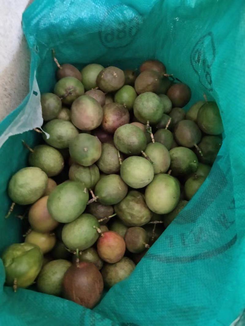 台农百香果次果，红果皱皮果肉饱满，出浆比例高，适合挖果浆